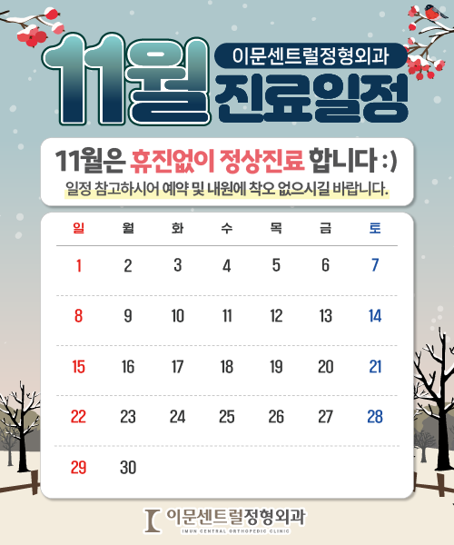 2026-11 진료일정